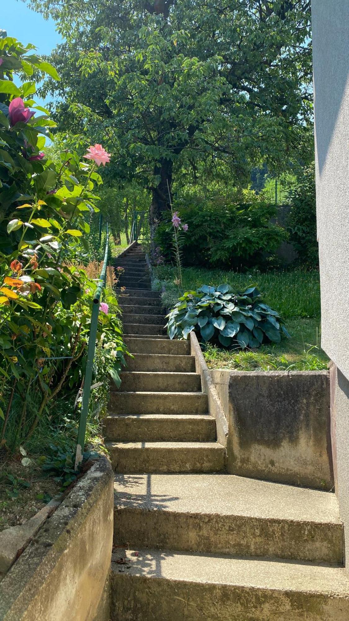 Semper Liberi Apartment Maribor Exterior photo